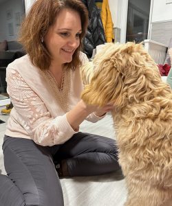 Australian Labradoodle Slovakia, fenka Taffy Coco